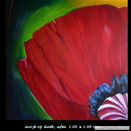 Papaver