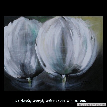 Witte tulpen