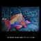 Happy fish (verkocht)