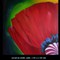 Papaver
