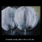 Witte tulpen