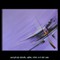 Purple light