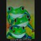 Piramide frogs (verkocht)